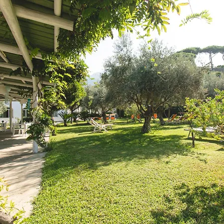 Victoria Park ホテル 3*